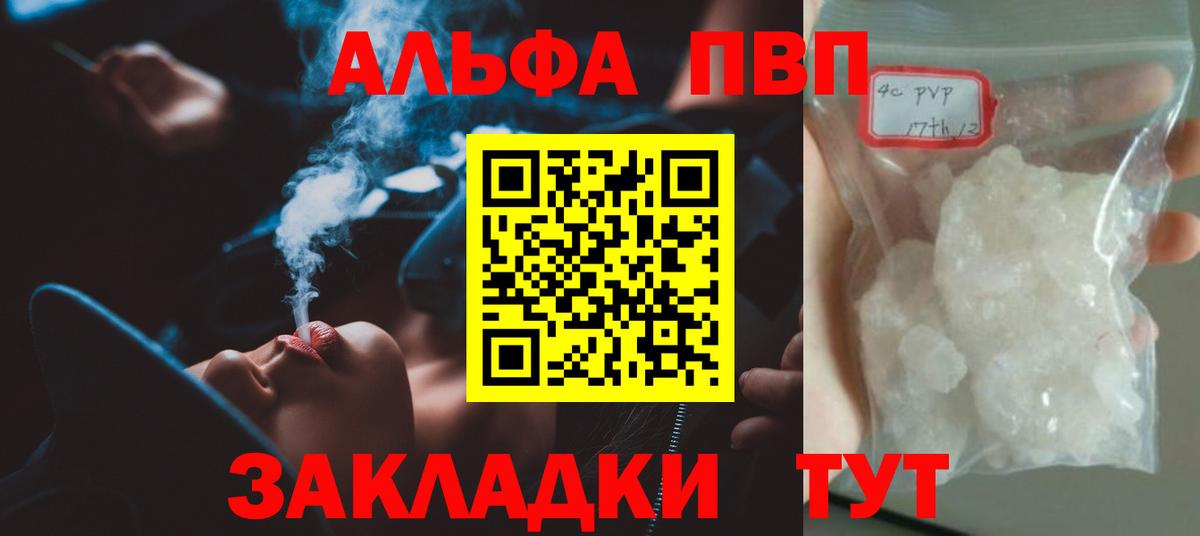 А ПВП крисы CK Курчалой