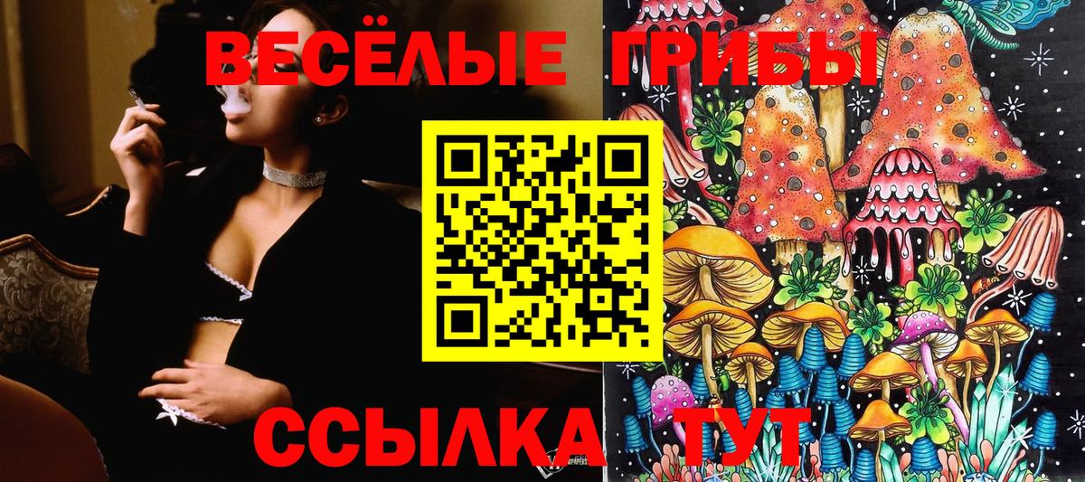 Псилоцибиновые грибы мухоморы  Вход с VPN  Курчалой 