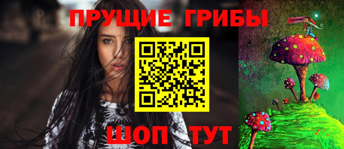 Псилоцибиновые грибы Psilocybine cubensis Курчалой